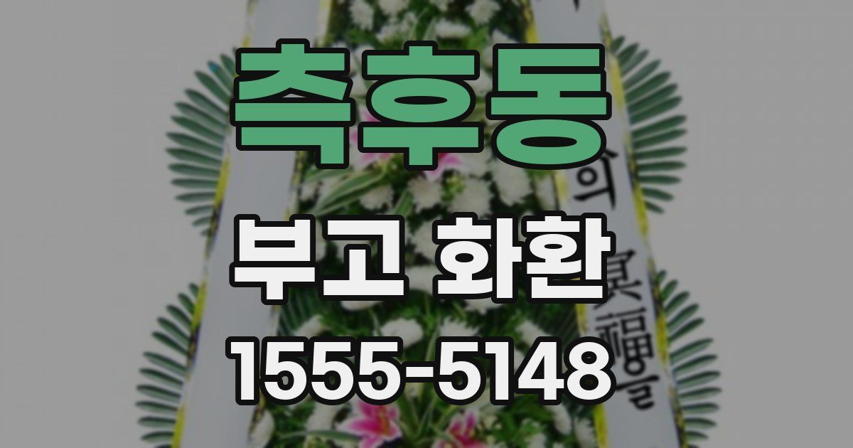 측후동 부고 화환