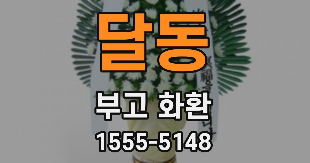 달동 부고 화환
