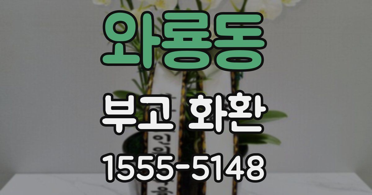 와룡동 부고 화환