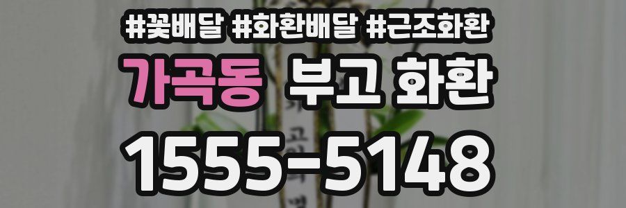 가곡동 부고 화환