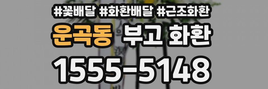 운곡동 부고 화환