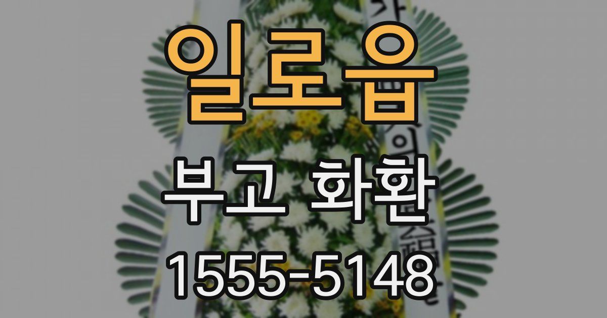 일로읍 부고 화환
