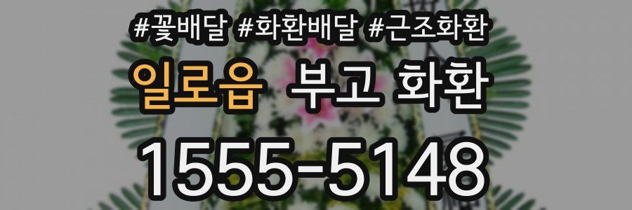 일로읍 부고 화환
