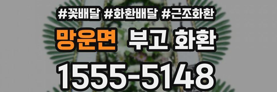 망운면 부고 화환