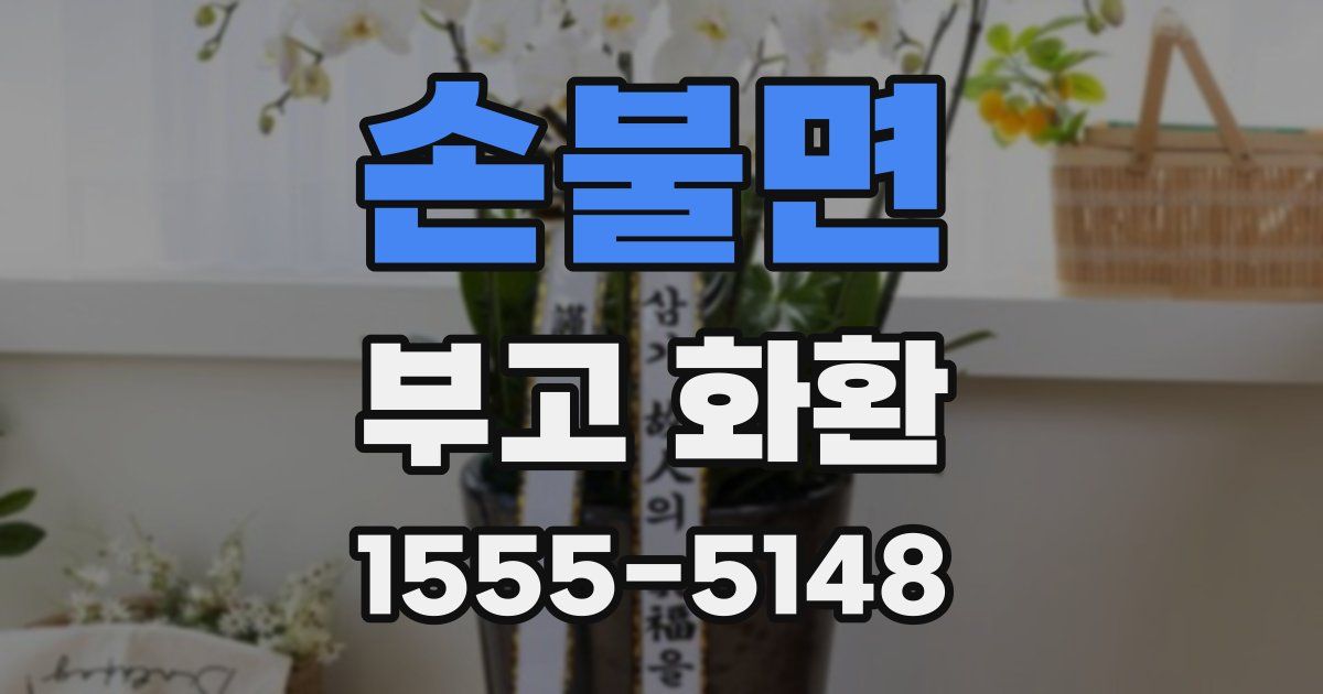 손불면 부고 화환