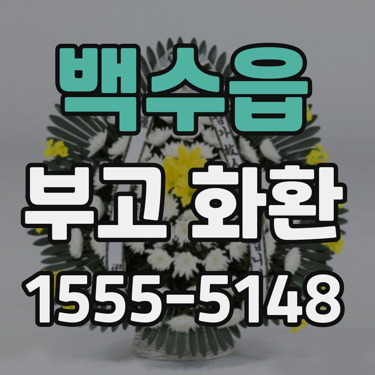 백수읍 부고 화환