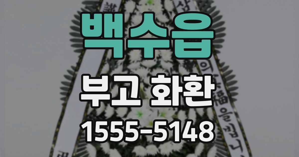 백수읍 부고 화환
