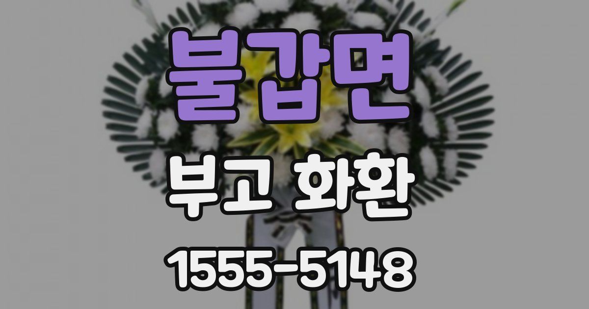 불갑면 부고 화환
