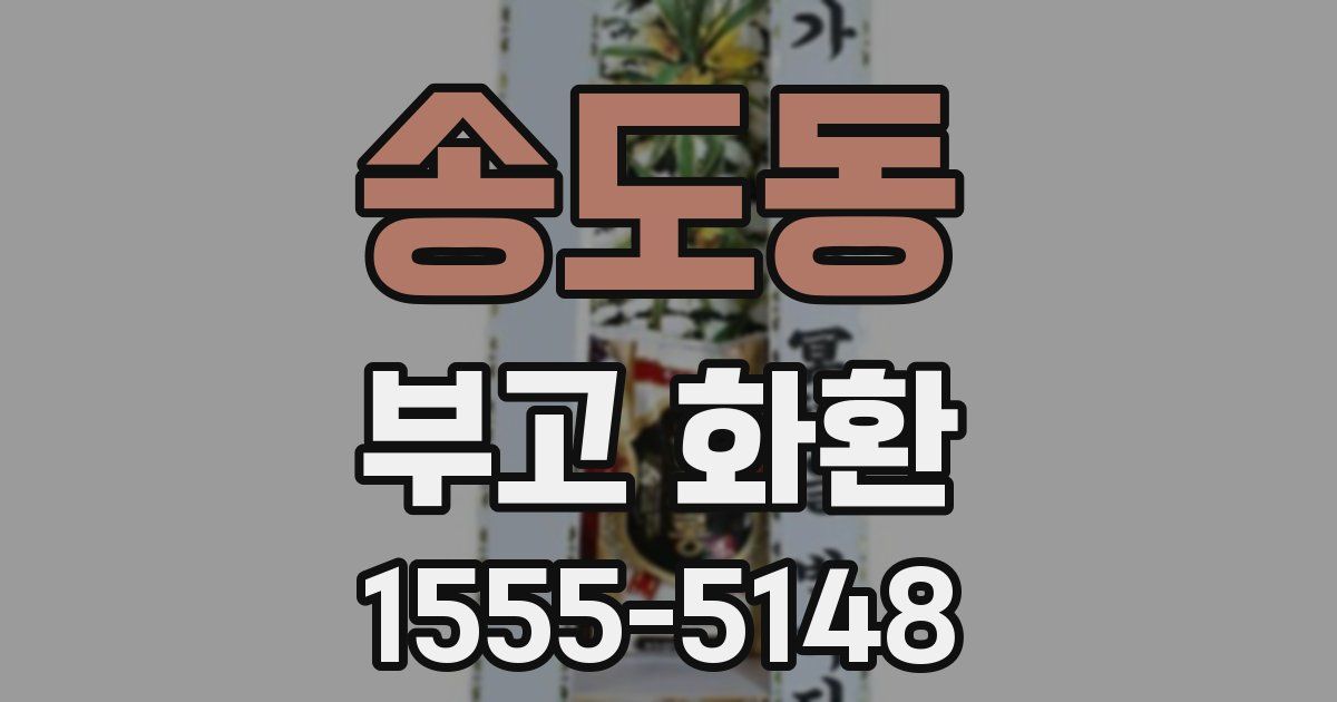 송도동 부고 화환
