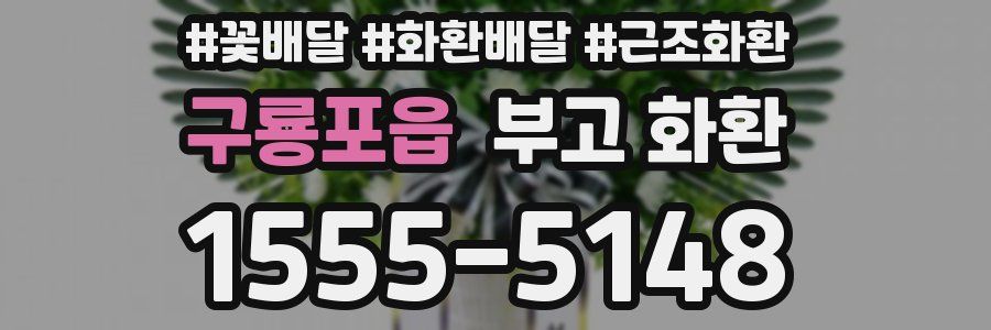 구룡포읍 부고 화환