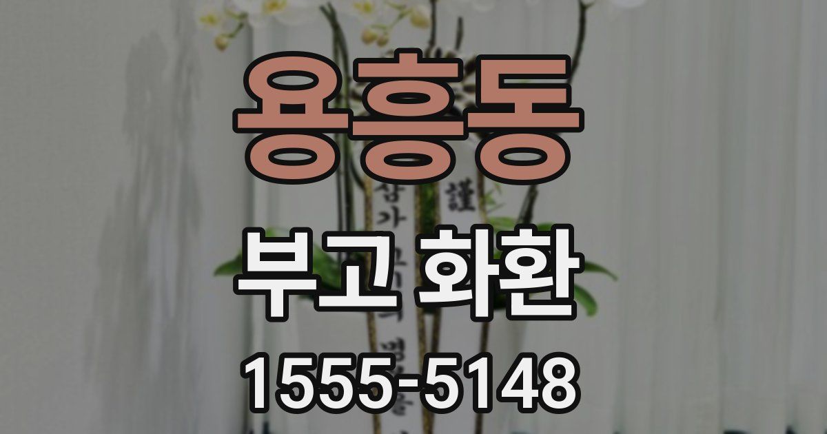 용흥동 부고 화환