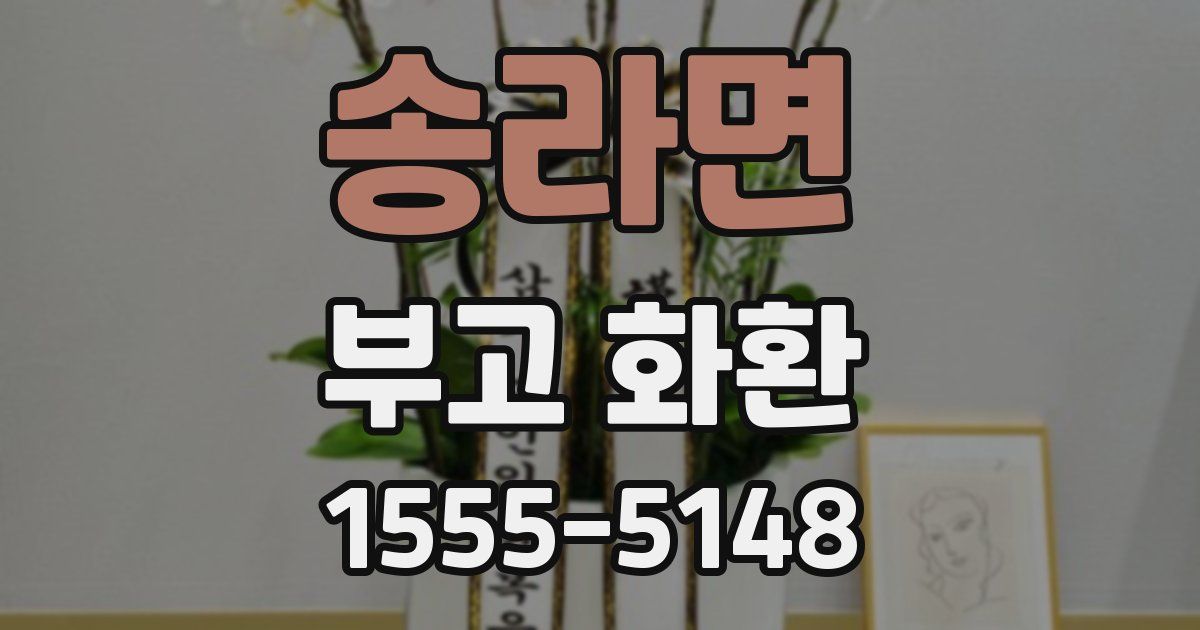 송라면 부고 화환