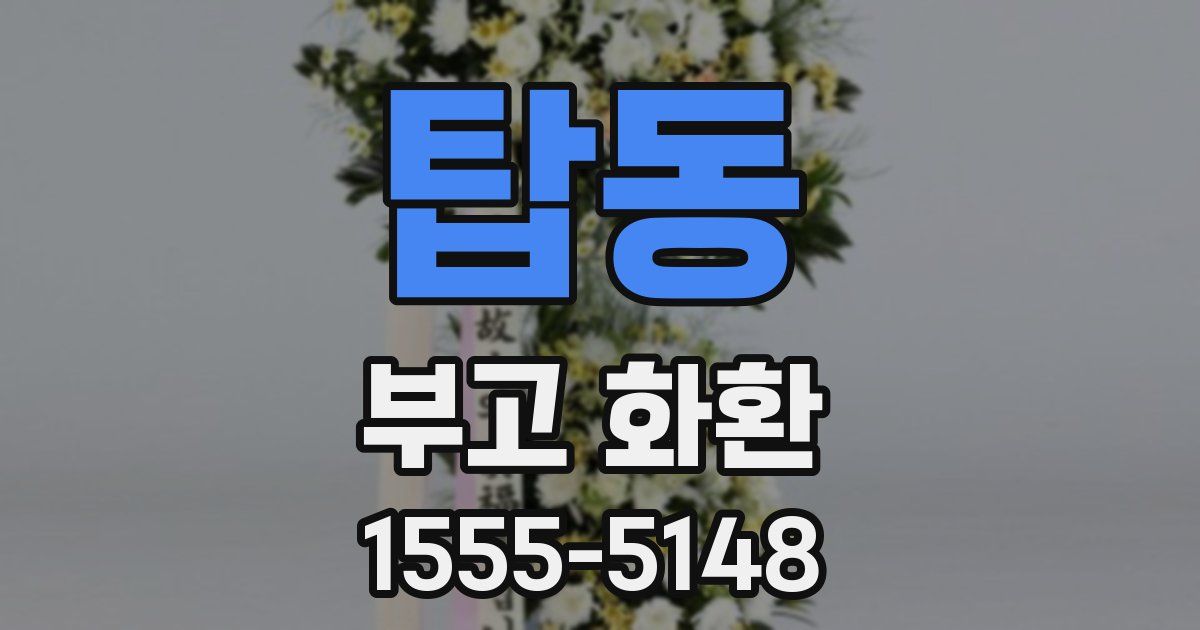 탑동 부고 화환