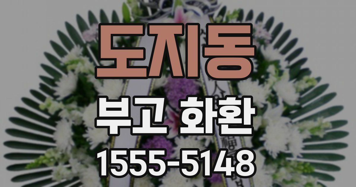 도지동 부고 화환