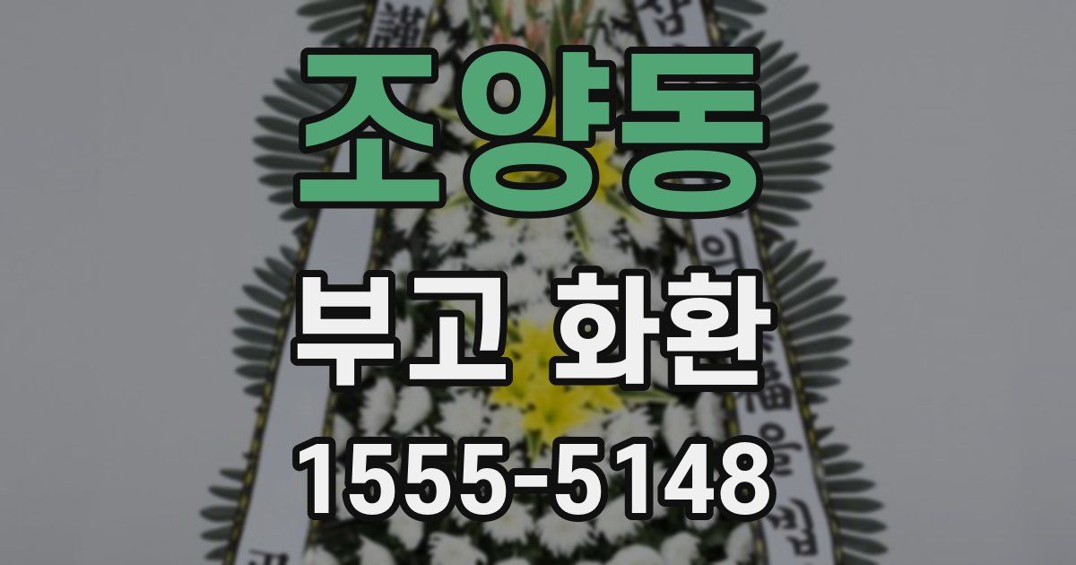 조양동 부고 화환