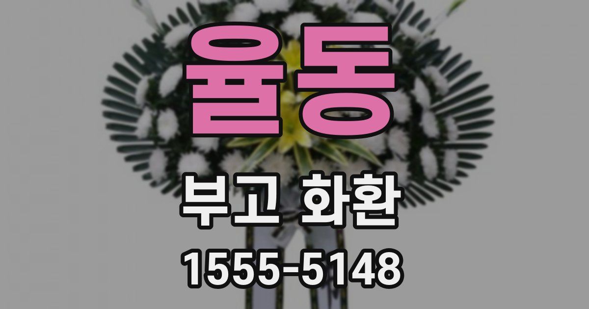 율동 부고 화환