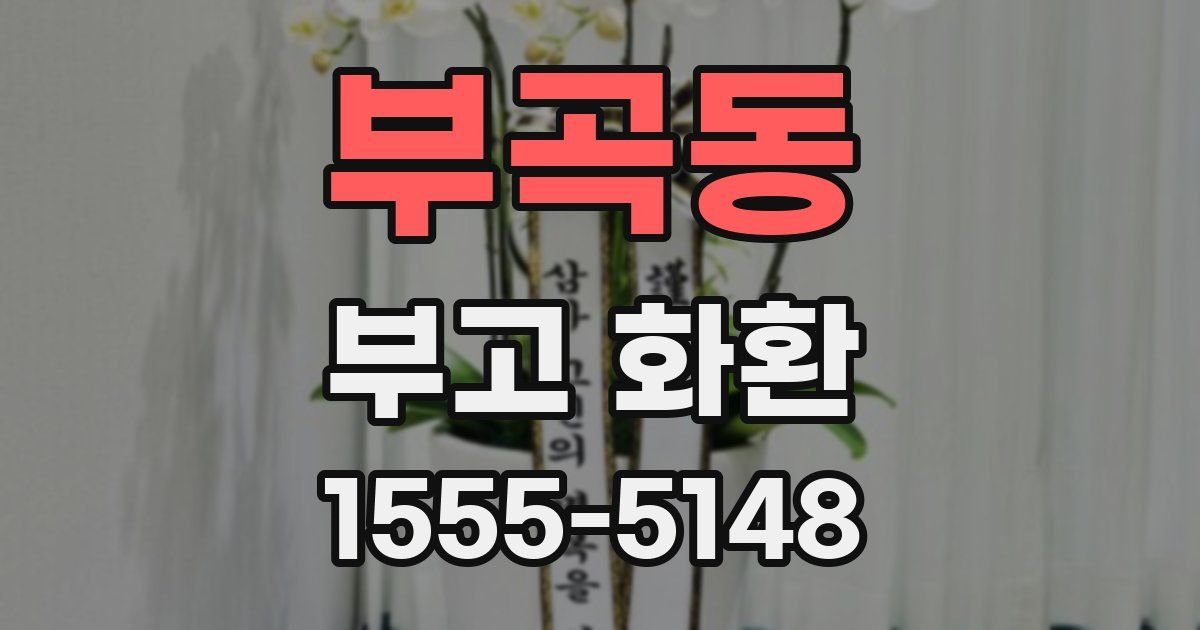 부곡동 부고 화환