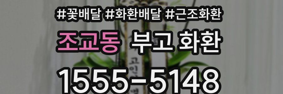 조교동 부고 화환