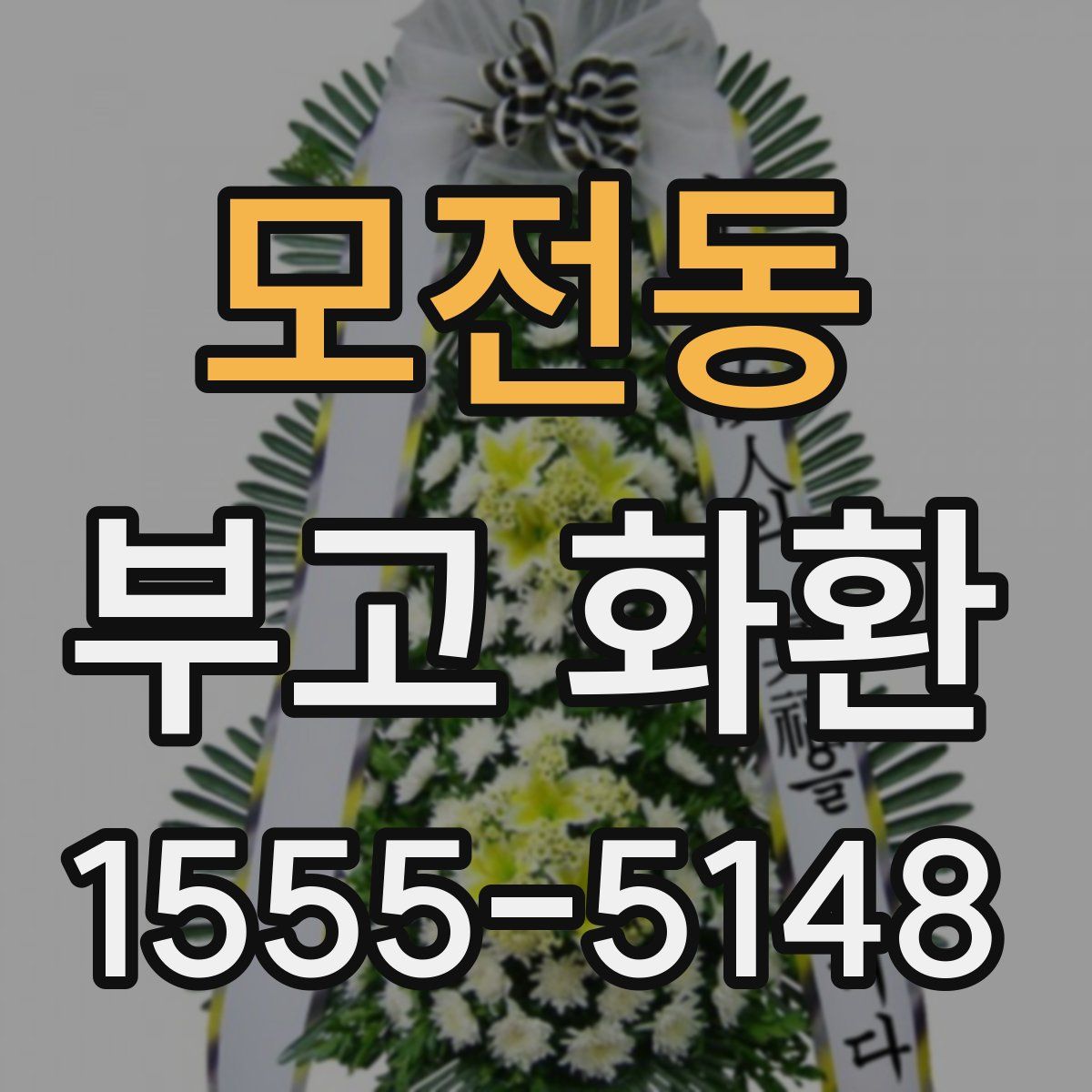 모전동 부고 화환