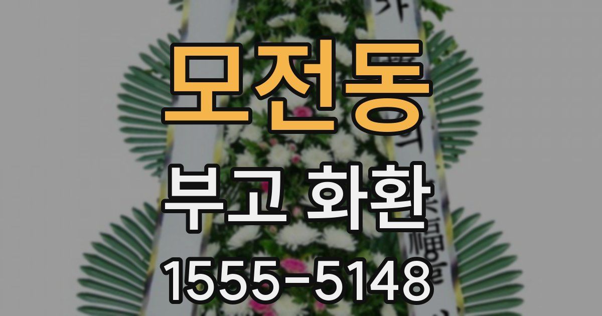모전동 부고 화환