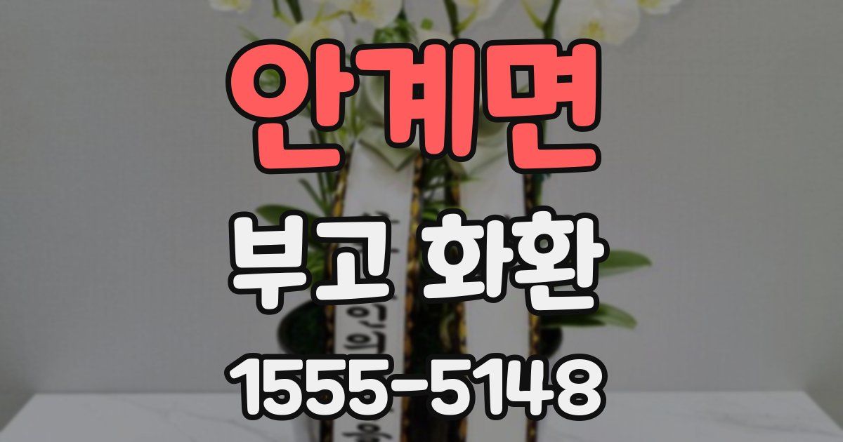 안계면 부고 화환