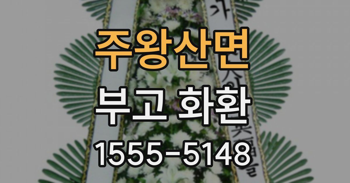 주왕산면 부고 화환