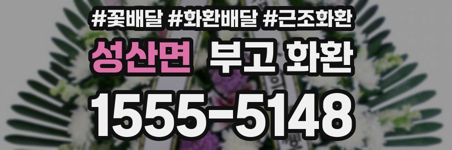 성산면 부고 화환