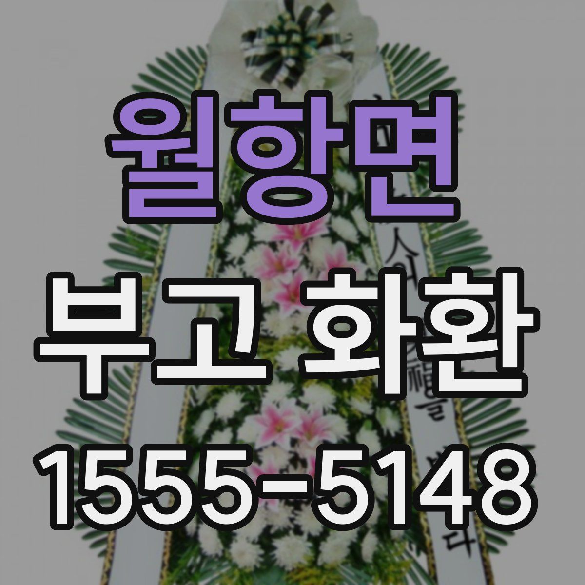월항면 부고 화환