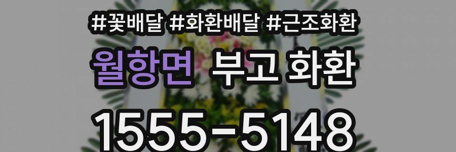 월항면 부고 화환