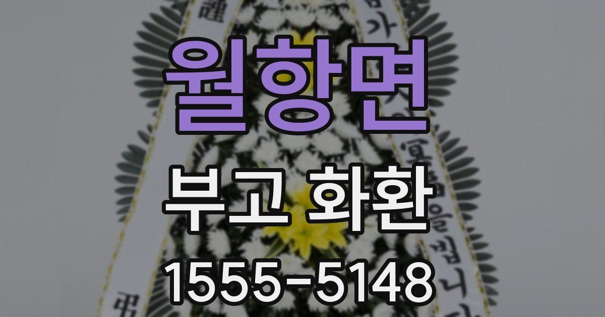 월항면 부고 화환