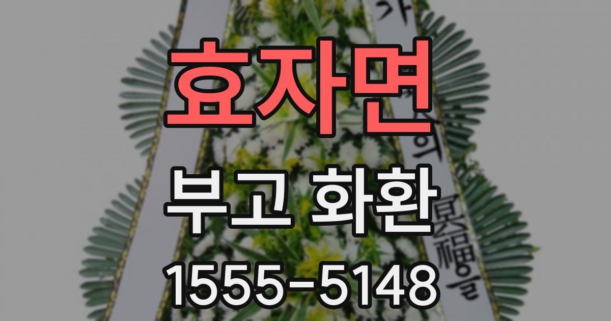 효자면 부고 화환