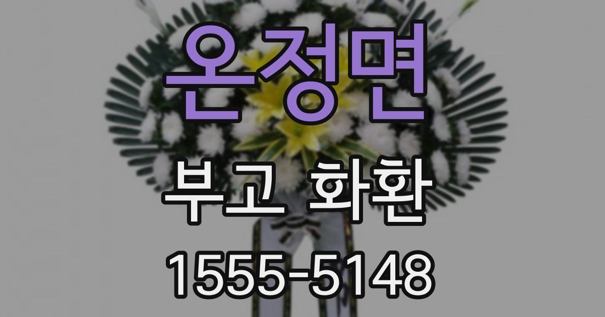 온정면 부고 화환