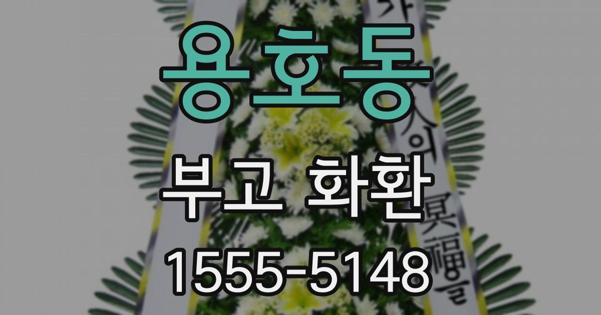 용호동 부고 화환