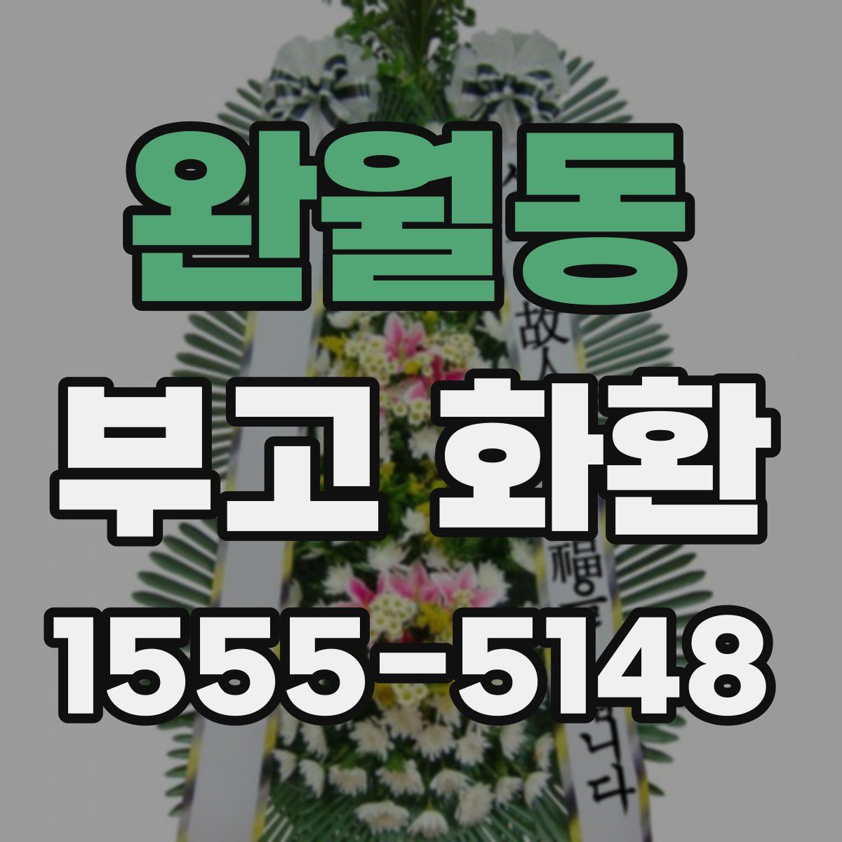 완월동 부고 화환