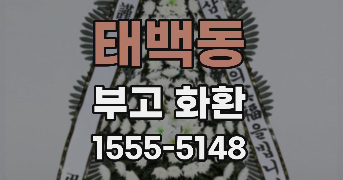 태백동 부고 화환