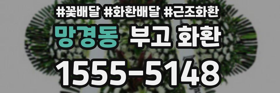 망경동 부고 화환