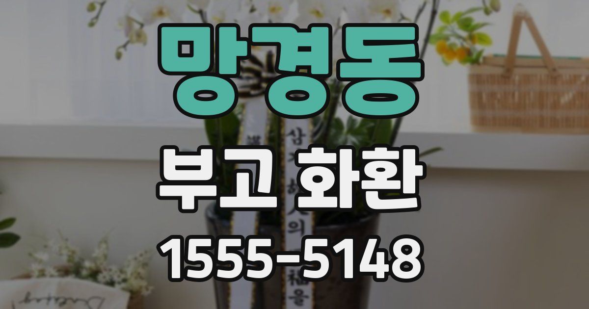 망경동 부고 화환