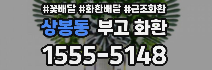 상봉동 부고 화환