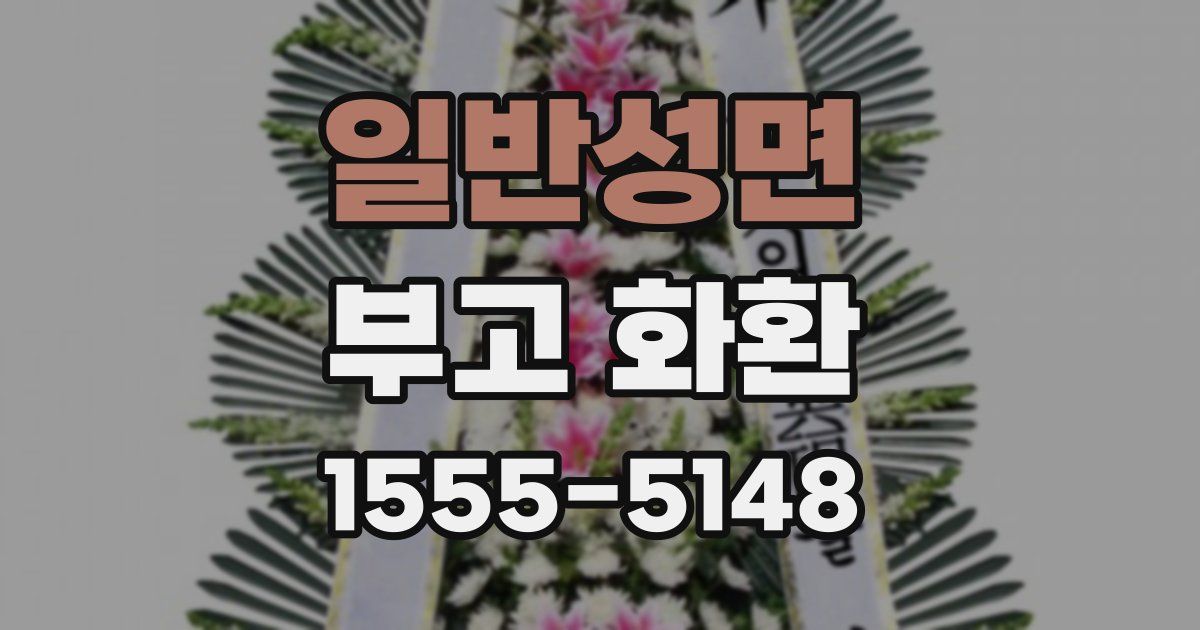 일반성면 부고 화환