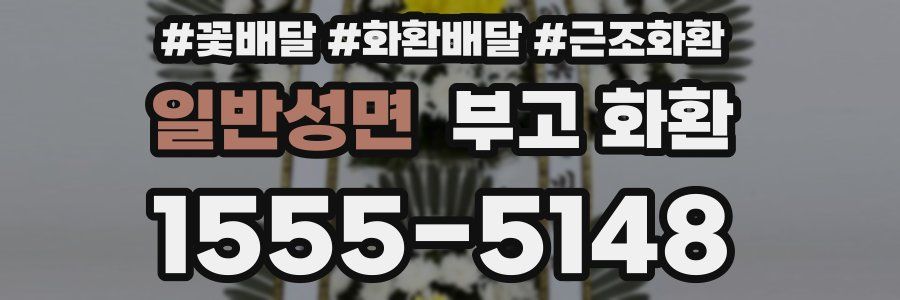 일반성면 부고 화환