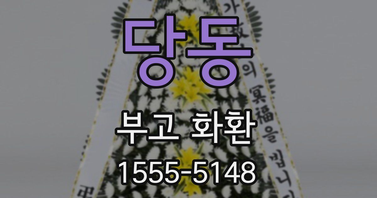 당동 부고 화환