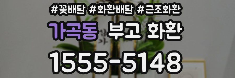 가곡동 부고 화환