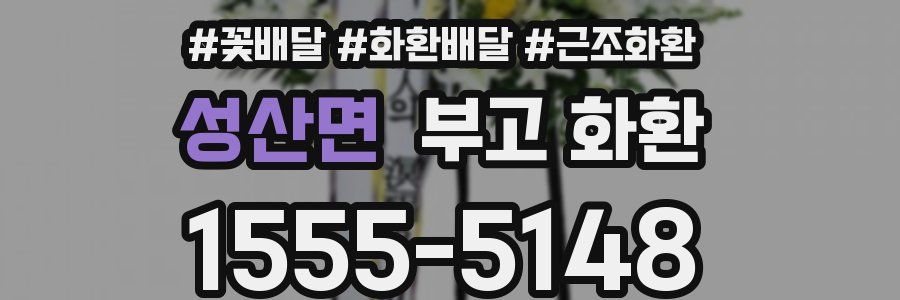 성산면 부고 화환