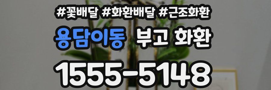 용담이동 부고 화환