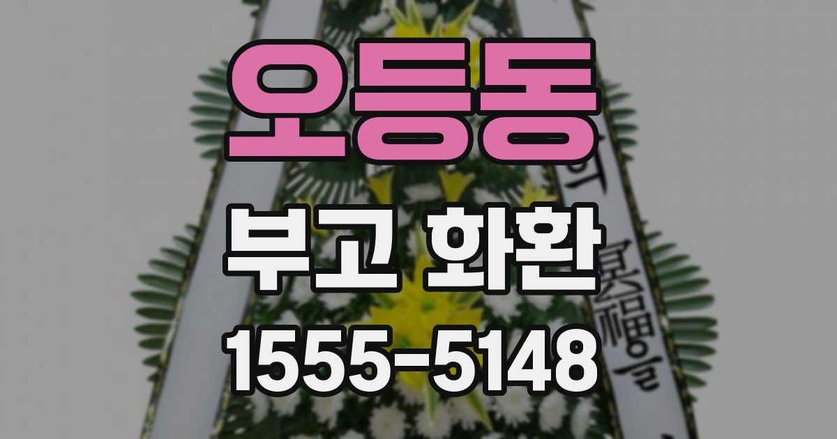 오등동 부고 화환