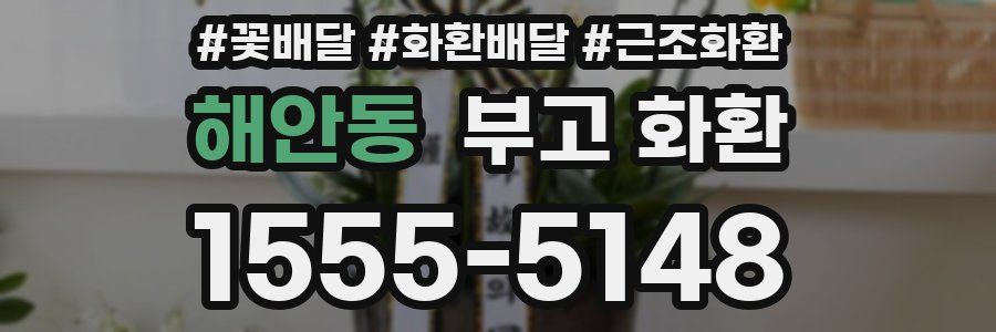 해안동 부고 화환