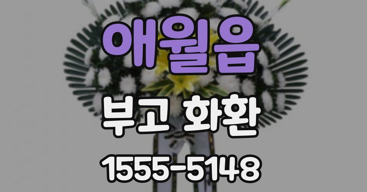 애월읍 부고 화환
