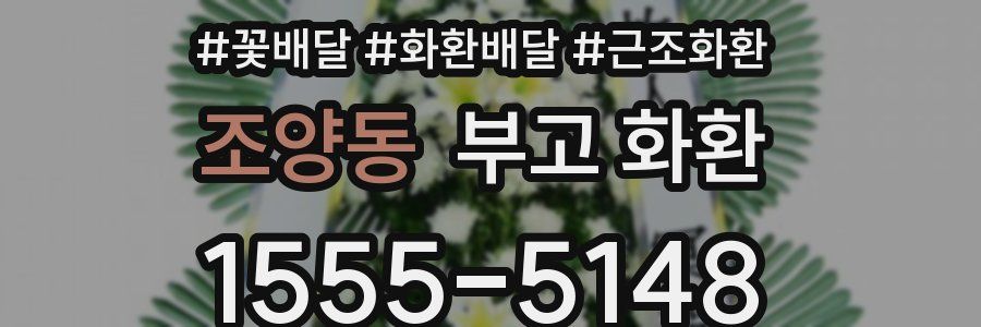 조양동 부고 화환