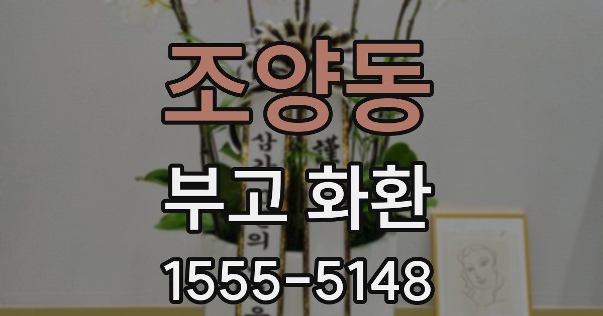 조양동 부고 화환