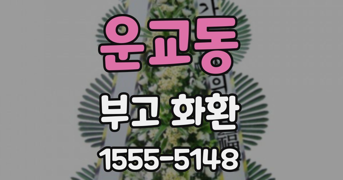 운교동 부고 화환